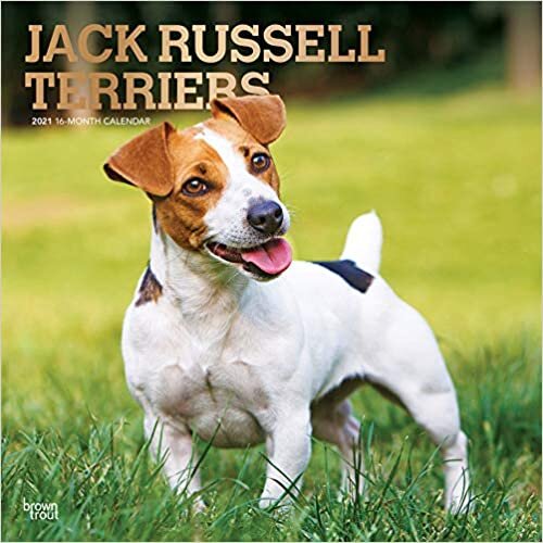 ダウンロード  Jack Russell Terriers 2021 Calendar: Foil Stamped Cover 本