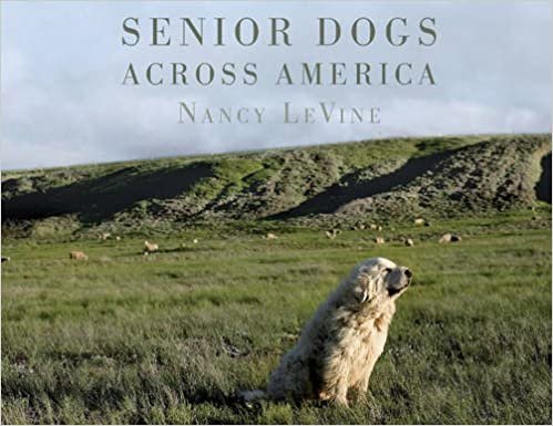 ダウンロード  Senior Dogs Across America 本