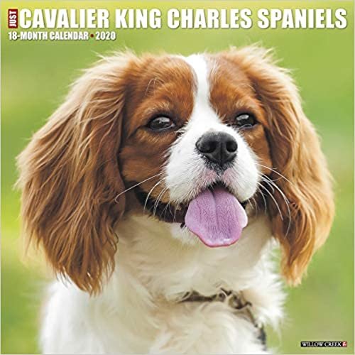 ダウンロード  Just Cavalier King Charles Spaniels 2020 Calendar 本