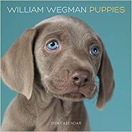 ダウンロード  William Wegman Puppies 2019 Wall Calendar 本