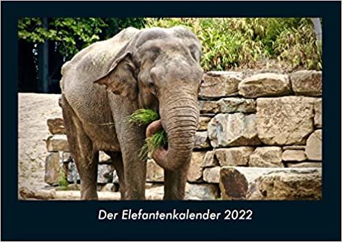 ダウンロード  Der Elefantenkalender 2022 Fotokalender DIN A4: Monatskalender mit Bild-Motiven von Haustieren, Bauernhof, wilden Tieren und Raubtieren 本