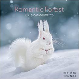 ダウンロード  Romantic Forest おとぎの森の動物たち 本