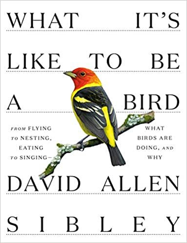ダウンロード  What It's Like to Be a Bird: From Flying to Nesting, Eating to Singing--What Birds Are Doing, and Why (Sibley Guides) 本