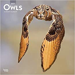 ダウンロード  Owls 2021 Calendar 本