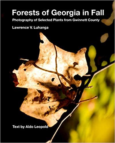 Forests of Georgia in Fall: Photography of Selected Plants from Gwinnett County indir