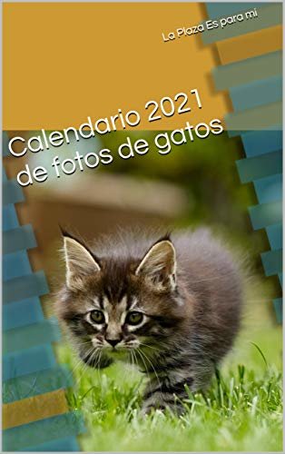 ダウンロード  Calendario 2021 de fotos de gatos (Calendarios nº 1) (Spanish Edition) 本