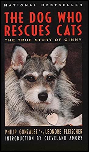 ダウンロード  The Dog Who Rescues Cats: True Story of Ginny, The 本