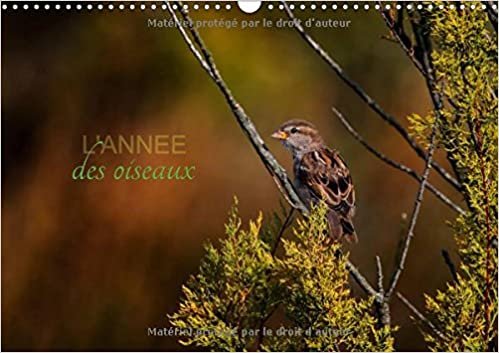 L'année des oiseaux (Calendrier mural 2017 DIN A3 horizontal): Calendrier regroupant quelques oiseaux migrateurs ou passereaux (Calendrier mensuel, 14 Pages ) (Calvendo Animaux) indir