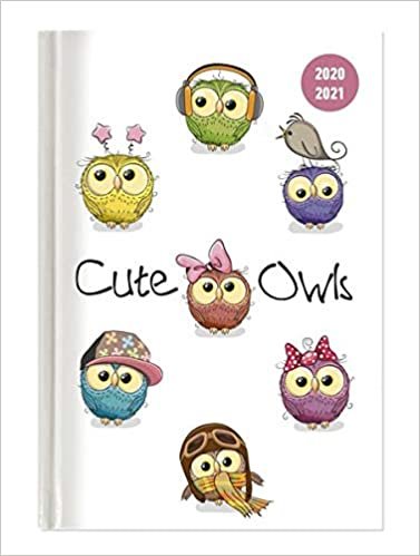 Collegetimer Cute Owls 2020/2021 - Schüler-Kalender A5 (15x21 cm) - Eule - Weekly - 224 Seiten - Terminplaner - Alpha Edition (Collegetimer A5 Weekly)