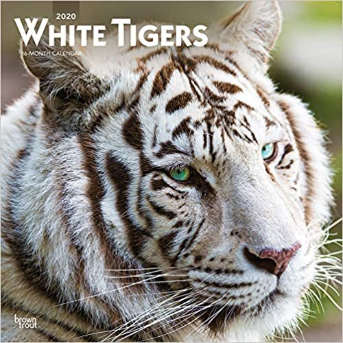 White Tigers 2020 Calendar