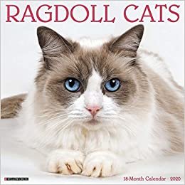 ダウンロード  Ragdoll Cats 2020 Calendar 本