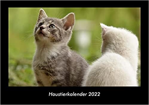 ダウンロード  Haustierkalender 2022 Fotokalender DIN A3: Monatskalender mit Bild-Motiven von Haustieren, Bauernhof, wilden Tieren und Raubtieren 本