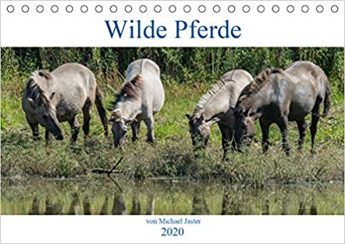 indir Wilde Pferde von Michael Jaster (Tischkalender 2020 DIN A5 quer): Wilde Pferde von Michael Jaster sind frei und ungezähmt. (Monatskalender, 14 Seiten )