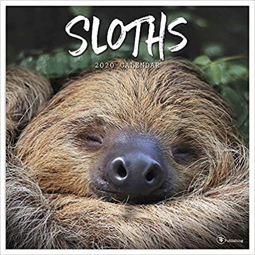 ダウンロード  Sloths 2020 Calendar 本