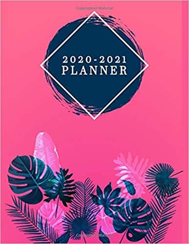 2020-2021 Planner: 2 Year Daily Weekly Planner & Organizer with To-Do’s, Inspirational Quotes, Notes & Vision Boards | Two Year Agenda Schedule ... Calendar | Pretty Pink Tropical Floral اقرأ