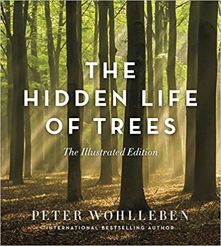 اقرأ الحياة الخفية للأشجار: الإصدار المصور الكتاب الاليكتروني 