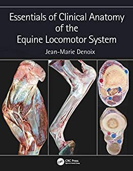Essentials of Clinical Anatomy of the Equine Locomotor System (English Edition) ダウンロード