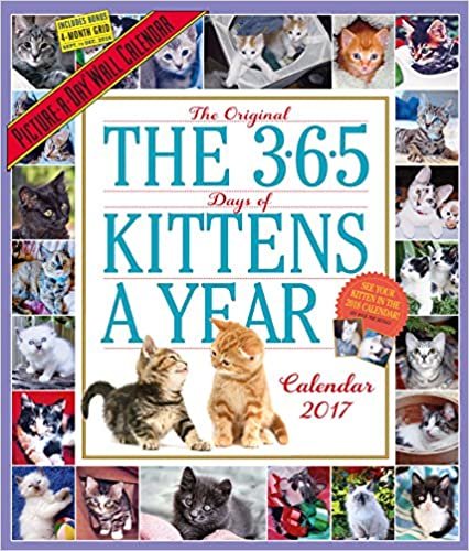 The 365 Kittens-a-Year 2017 Calendar