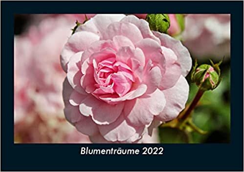 Blumentraeume 2022 Fotokalender DIN A5: Monatskalender mit Bild-Motiven aus Fauna und Flora, Natur, Blumen und Pflanzen ダウンロード