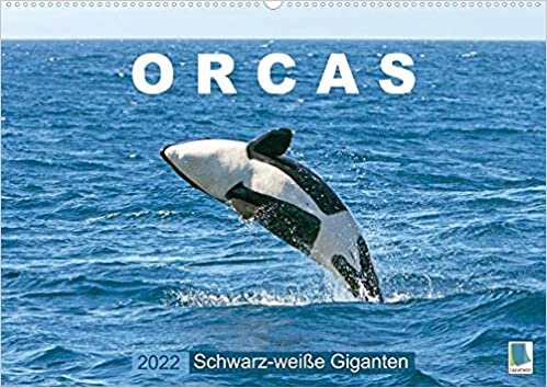 ダウンロード  Orcas: Schwarz-weisse Giganten (Premium, hochwertiger DIN A2 Wandkalender 2022, Kunstdruck in Hochglanz): Orcas: Majestaetische Meeresakrobaten (Monatskalender, 14 Seiten ) 本