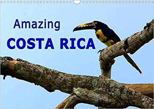 Amazing Costa Rica (Wall Calendar 2022 DIN A3 Landscape): Amazing wildlife in Costa Rica, the destination for nature lovers (Monthly calendar, 14 pages ) ダウンロード