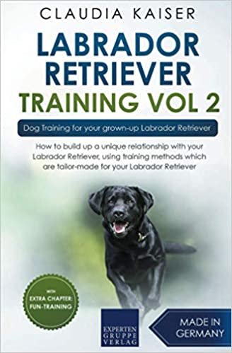 indir Labrador Retriever Training Vol. 2: Dog Training for your grown-up Labrador Retriever