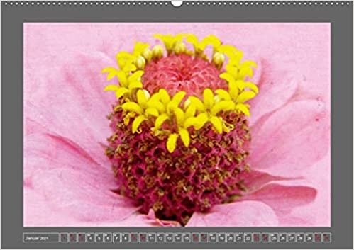 Blumen fuer dich (Premium, hochwertiger DIN A2 Wandkalender 2021, Kunstdruck in Hochglanz): Mit Blumen durch das Jahr (Monatskalender, 14 Seiten )