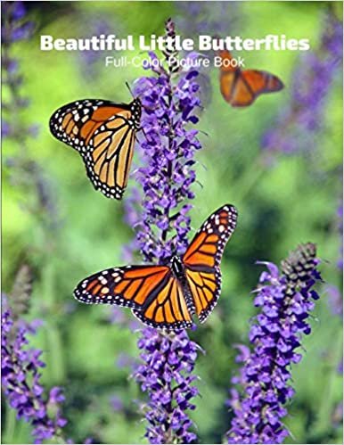 تحميل Beautiful Little Butterflies Full-Color Picture Book: Butterflies Picture Book for Children, Seniors and Alzheimer&#39;s Patients -Insects Wildlife Nature
