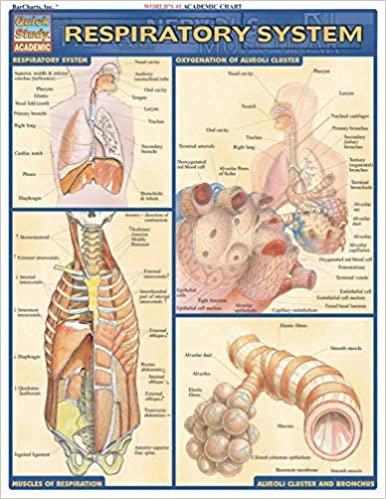 Respiratory System Quick Reference Guide (Quick Study: Academic)