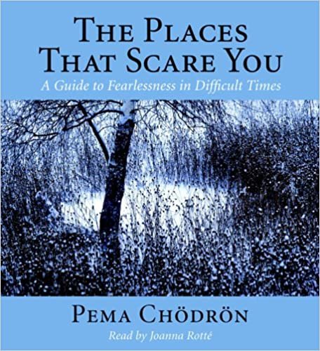 ダウンロード  The Places That Scare You: A Guide to Fearlessness in Difficult Times 本