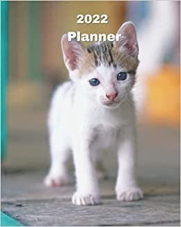 2022 Planner: White Kitten - 12 Month Weekly and Monthly Planner January 2022 to December 2022 -Monthly Calendar with U.S./UK/ ... 8 x 10 in.- Cats Breed Pets Kittens indir