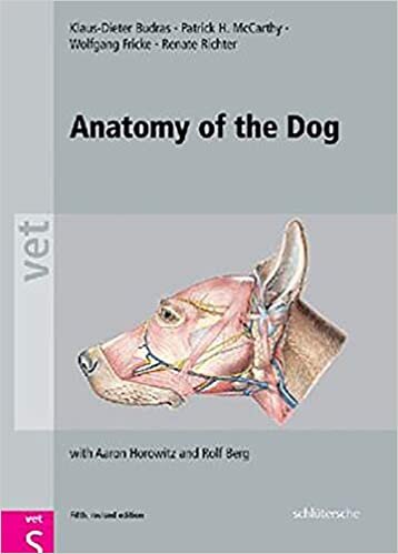 indir Anatomy of the Dog: An Illustrated Text, Fifth Edition (Vet (Schlutersche))