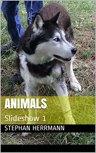 ANIMALS : Slideshow 1 (English Edition)