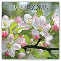 Blossoms - Blüten 2021 - 16-Monatskalender: Original The Gifted Stationery Co. Ltd [Mehrsprachig] [Kalender] (Wall-Kalender)