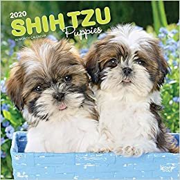 ダウンロード  Shih Tzu Puppies 2020 Calendar 本