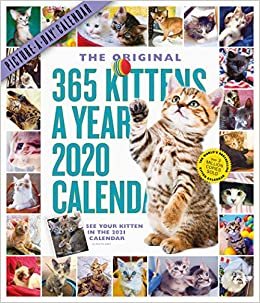 365 Kittens a Year Picture-a-Day 2020 Calendar