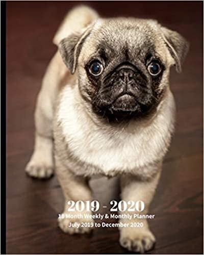 2019 - 2020 | 18 Month Weekly & Monthly Planner July 2019 to December 2020: Pug Pup Dog Breed Pets Vol 2 Monthly Calendar with U.S./UK/ ... Holidays– Calendar in Review/Notes 8 x 10 in. indir