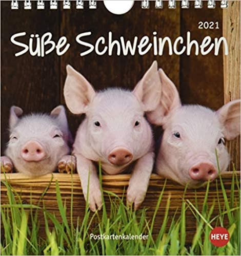 Schweinchen Postkartenkalender 2021 - Kalender mit perforierten Postkarten - zum Aufstellen und Aufhängen - mit Monatskalendarium - Format 16 x 17 cm indir
