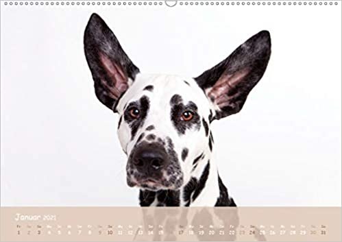 ダウンロード  "SCHLAPPOHREN" (Premium, hochwertiger DIN A2 Wandkalender 2021, Kunstdruck in Hochglanz): Diese Hunde haben wohl eins gemeinsam - GROssE OHREN ! (Monatskalender, 14 Seiten ) 本