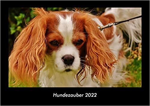 Hundezauber 2022 Fotokalender DIN A3: Monatskalender mit Bild-Motiven von Haustieren, Bauernhof, wilden Tieren und Raubtieren