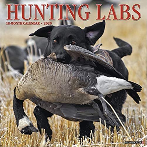 Hunting Labs 2020 Calendar