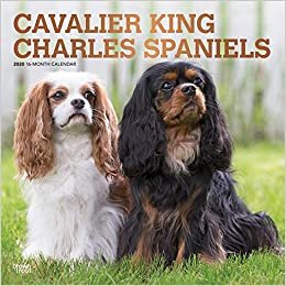 Cavalier King Charles Spaniels 2020 Calendar: Foil Stamped Cover