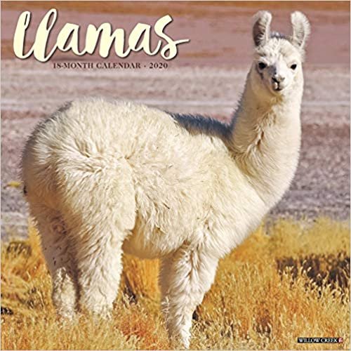 Llamas 2020 Calendar