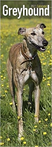 Greyhound 2021 Slim Calendar (Slim Standard)