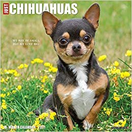 indir Just Chihuahuas 2021 Calendar