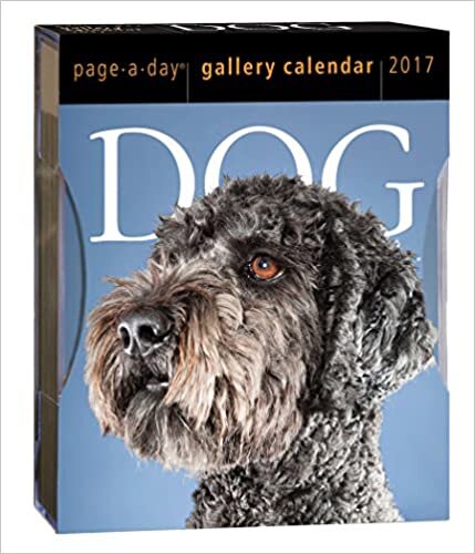 Dog Gallery 2017 Calendar