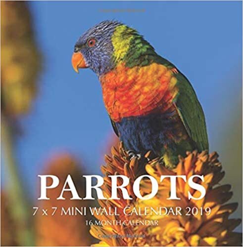 Parrots 7 x 7 Mini Wall Calendar 2019: 16 Month Calendar indir