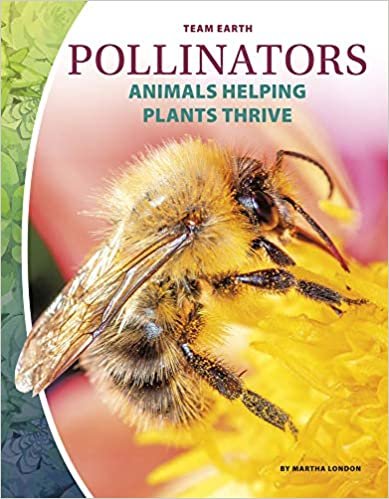 تحميل Team Earth: Pollinators
