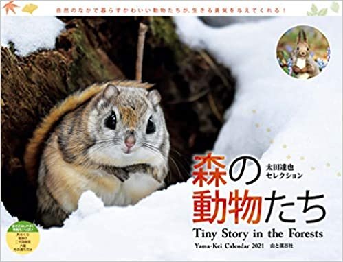 カレンダー2021 太田達也セレクション 森の動物たち Tiny Story in the Forests(月めくり・壁掛け) (ヤマケイカレンダー2021) ダウンロード