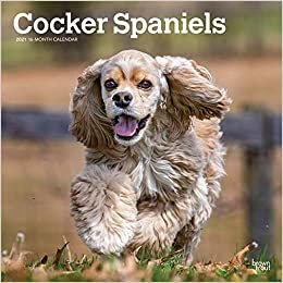 indir Cocker Spaniels - Cockerspaniels 2021 - 16-Monatskalender mit freier DogDays-App: Original BrownTrout-Kalender [Mehrsprachig] [Kalender] (Wall-Kalender)